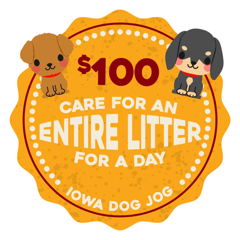Iowa Dog Jog 2021:MILESTONE:1140