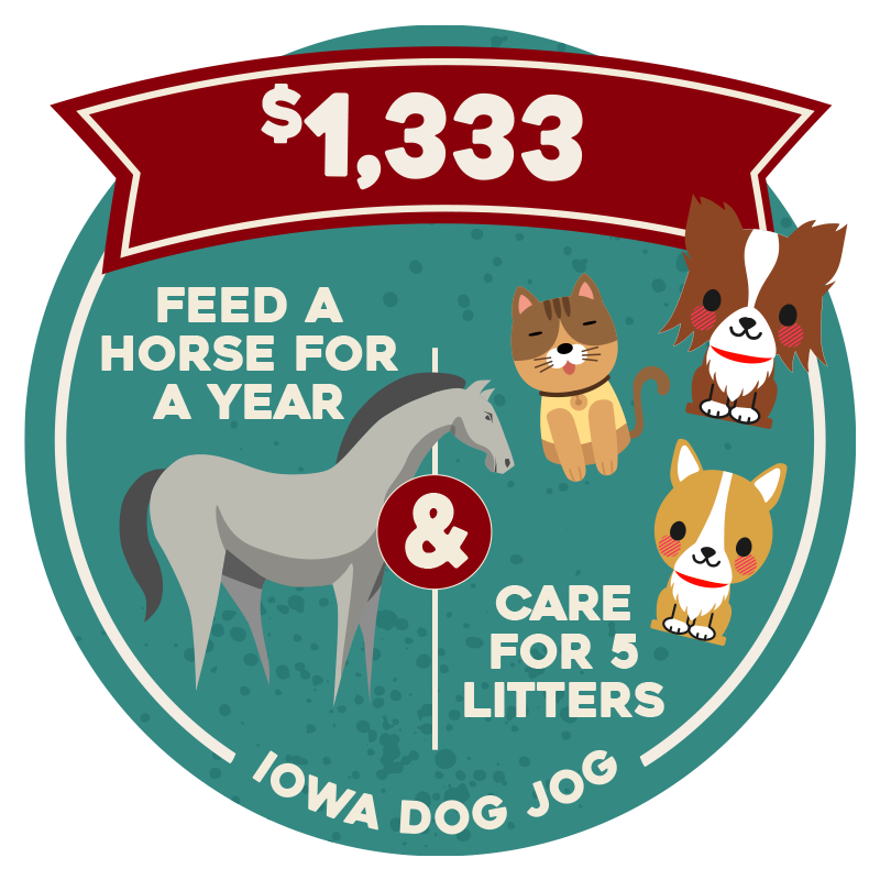 Iowa Dog Jog 2021:MILESTONE:1145