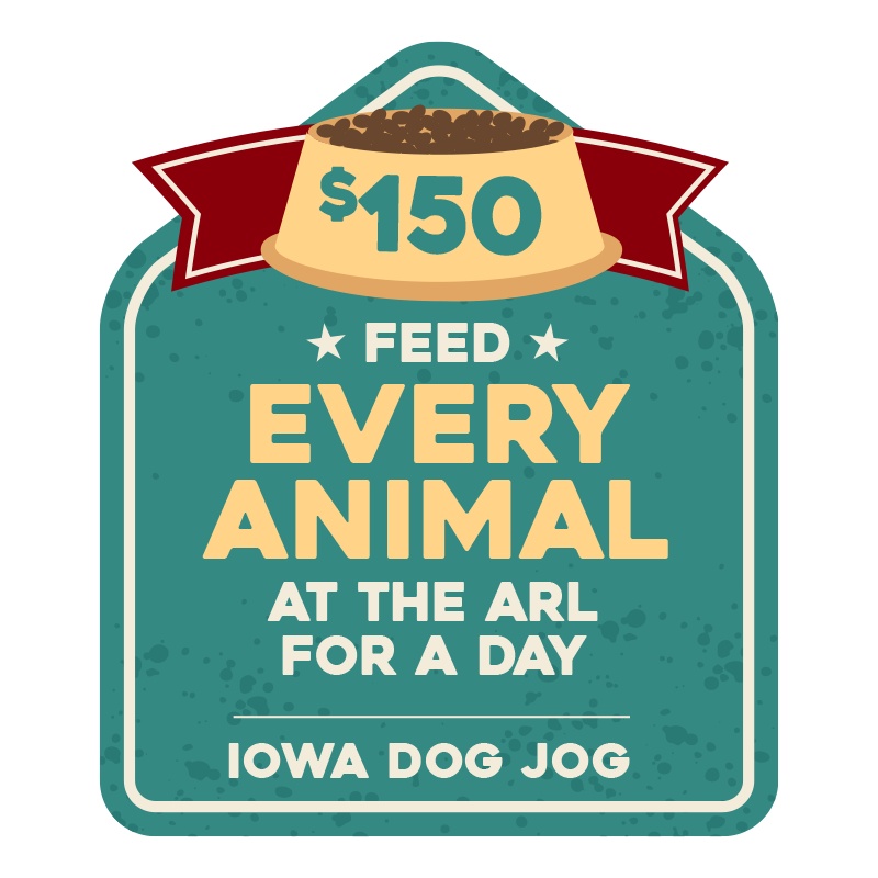 Iowa Dog Jog 2021:MILESTONE:1141