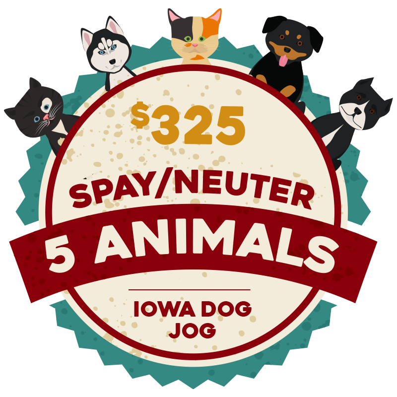 Iowa Dog Jog 2021:MILESTONE:1142