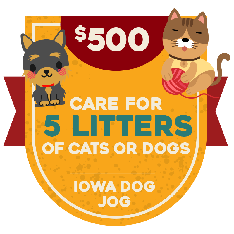 Iowa Dog Jog 2021:MILESTONE:1143
