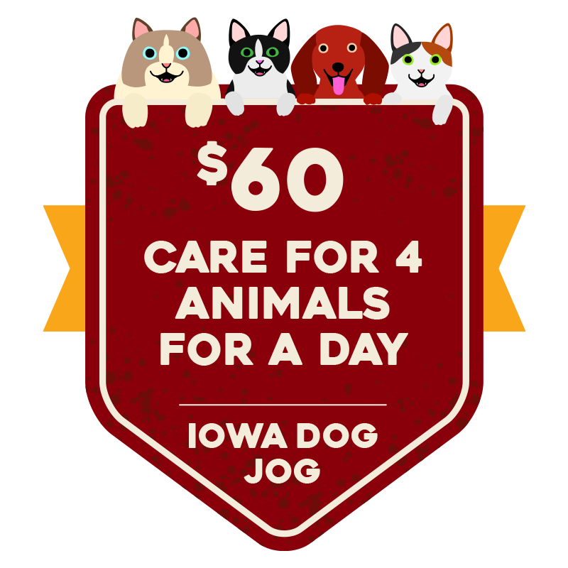 Iowa Dog Jog 2021:MILESTONE:1113