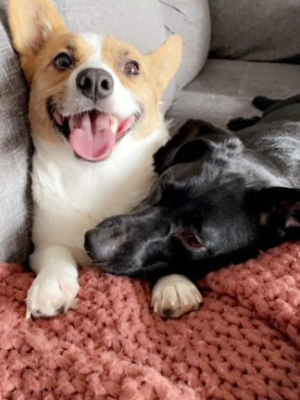 Peach & Sundae