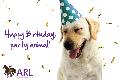 Happy Birthday - Dog eCard